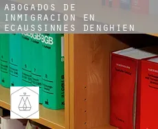 Abogados de inmigración en  Écaussinnes-d'Enghien