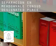 Separación en  Meadowvale