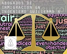 Abogados de inmigración en  Ingeniero Guillermo N. Juárez
