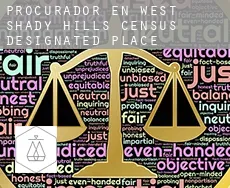 Procurador en  West Shady Hills