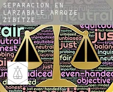 Separación en Larzabale-Arroze-Zibitze