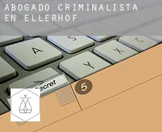 Abogado criminalista en  Ellerhof