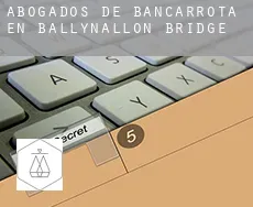Abogados de bancarrota en  Ballynallon Bridge