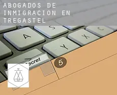 Abogados de inmigración en  Trégastel