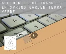 Accidentes de tránsito en  Spring Garden-Terra Verde