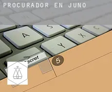 Procurador en  Juno