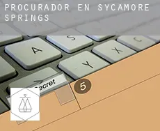 Procurador en  Sycamore Springs