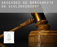 Abogados de bancarrota en  Schlunkendorf