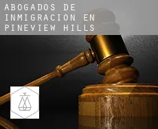 Abogados de inmigración en  Pineview Hills