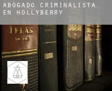 Abogado criminalista en  Hollyberry
