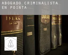 Abogado criminalista en  Pointa