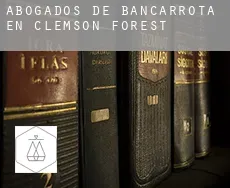 Abogados de bancarrota en  Clemson Forest