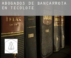 Abogados de bancarrota en  Tecolote