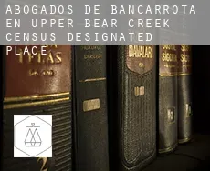 Abogados de bancarrota en  Upper Bear Creek