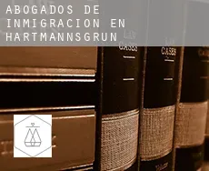 Abogados de inmigración en  Hartmannsgrün