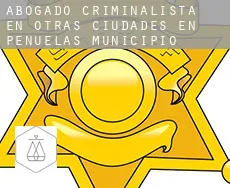Abogado criminalista en  Otras ciudades en Peñuelas Municipio