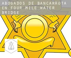 Abogados de bancarrota en  Four Mile Water Bridge