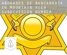 Abogados de bancarrota en  Mountain View Subdivision Number 13