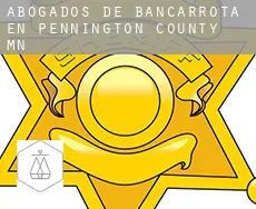 Abogados de bancarrota en  Pennington County