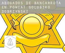 Abogados de bancarrota en Powiat golubsko-dobrzyński