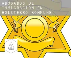Abogados de inmigración en  Holstebro Kommune