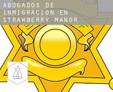 Abogados de inmigración en  Strawberry Manor