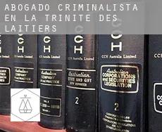 Abogado criminalista en La Trinité-des-Laitiers