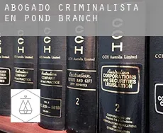 Abogado criminalista en  Pond Branch