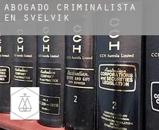 Abogado criminalista en  Svelvik