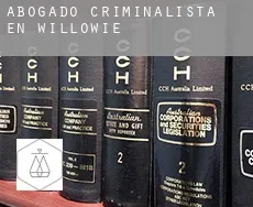Abogado criminalista en  Willowie