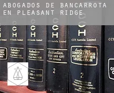 Abogados de bancarrota en  Pleasant Ridge
