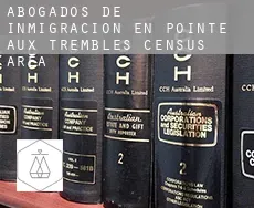 Abogados de inmigración en  Pointe-aux-Trembles (census area)