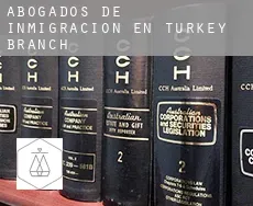 Abogados de inmigración en  Turkey Branch