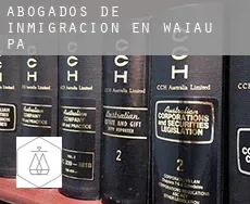 Abogados de inmigración en  Waiau Pa