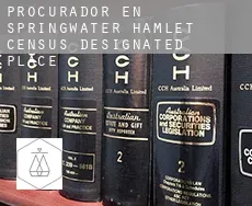 Procurador en  Springwater Hamlet