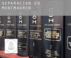 Separación en  Montmaurin