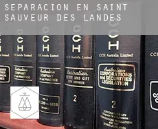 Separación en Saint-Sauveur-des-Landes