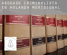 Abogado criminalista en  Holanda Meridional