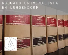 Abogado criminalista en  Luggendorf