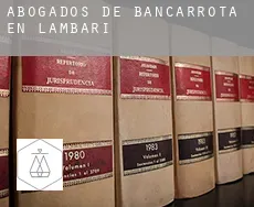 Abogados de bancarrota en  Lambari