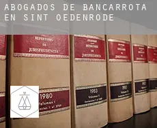 Abogados de bancarrota en  Sint-Oedenrode