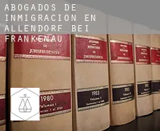 Abogados de inmigración en Allendorf bei Frankenau