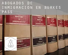 Abogados de inmigración en  Burkes Pass