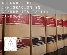 Abogados de inmigración en  Grandpuits-Bailly-Carrois