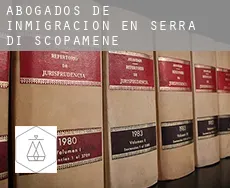 Abogados de inmigración en  Serra-di-Scopamene