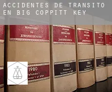 Accidentes de tránsito en  Big Coppitt Key