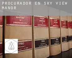 Procurador en  Sky View Manor