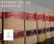 Separación en  Bosentino