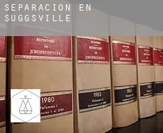 Separación en  Suggsville