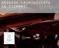 Abogado criminalista en  Richert